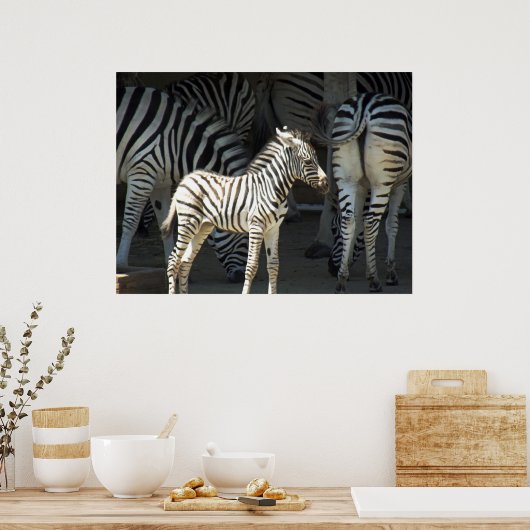 Sunny Zebra Poster (Küche)
