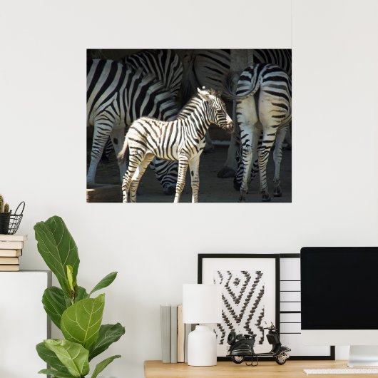 Sunny Zebra Poster (Heimbüro)