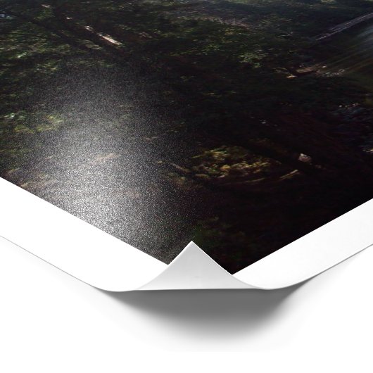 "Sunnyside of the River" Yosemite Valley Poster (Ecke)