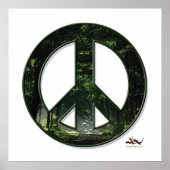 Sunpeace Poster (Vorne)