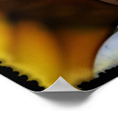 SUNPEACE Poster (Ecke)