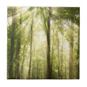 Sunrays durch Treetops Fliese (Vorderseite)