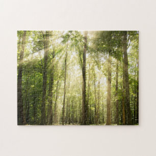 Sunrays durch Treetops Puzzle