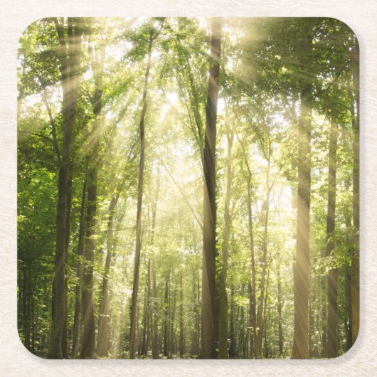 Sunrays durch Treetops Rechteckiger Pappuntersetzer (Vorderseite)