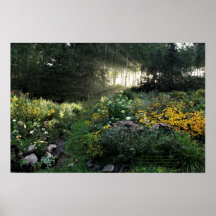 Sunrays-Ende September Gärten Poster
