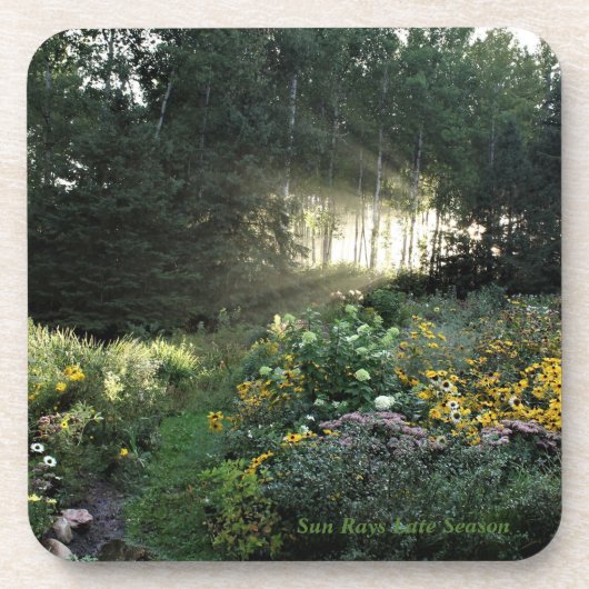 Sunrays Spätsaison Getränkeuntersetzer (Vorderseite)