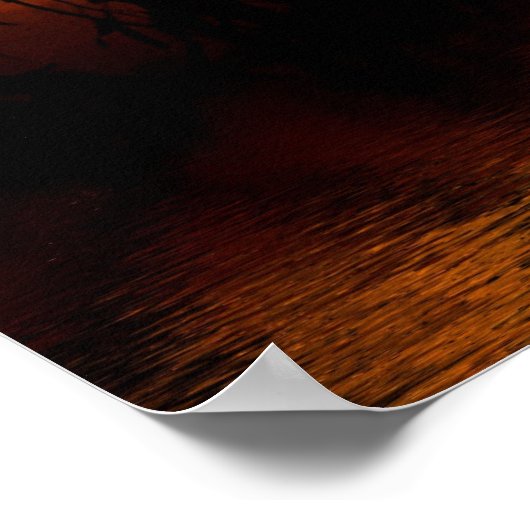 Sunrealismus : Ferntree Gully Poster (Ecke)