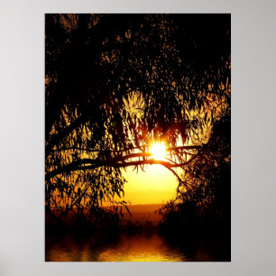 Sunrealismus: Ferntree Gully Poster