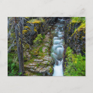 Sunrift Gorge im Glacier Nationalpark, Montana 2 Postkarte