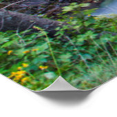 Sunrift Gorge im Glacier Nationalpark, Montana Poster (Ecke)