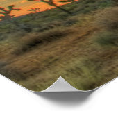 Sunrise At Joshua Tree National Park Poster (Ecke)