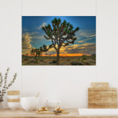 Sunrise At Joshua Tree National Park Poster (Küche)