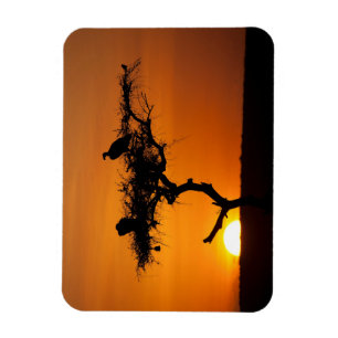 Sunrise at the Masai Mara, Kenia Magnet