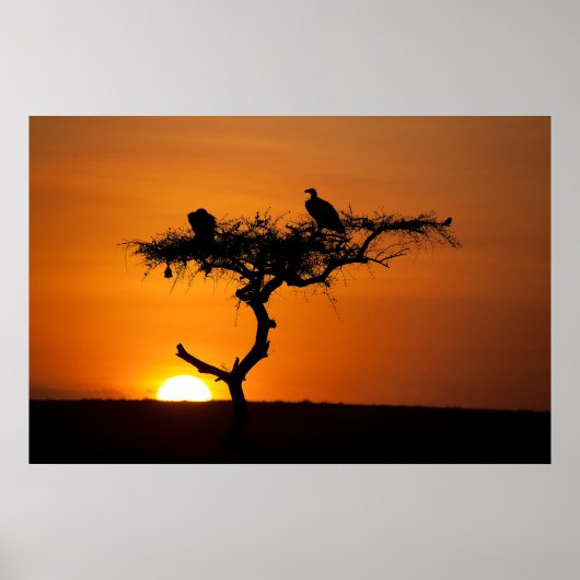 Sunrise at the Masai Mara, Kenia Poster (Vorne)
