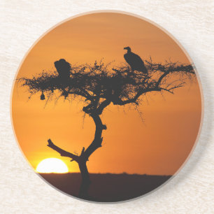 Sunrise at the Masai Mara, Kenia Sandstein Untersetzer