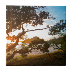 Sunrise Coromandel Beach Paradies Neuseeland Fliese