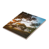 Sunrise Coromandel Beach Paradies Neuseeland Fliese (Seite)