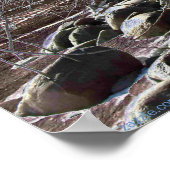 SUNRISE EIS-SCAPE POSTER (Ecke)