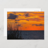 Sunrise, Fort Pierce, Florida Postkarte (Vorne/Hinten)