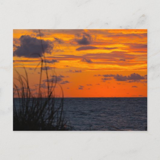 Sunrise, Fort Pierce, Florida Postkarte (Vorderseite)