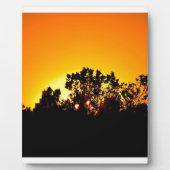 Sunrise Fotoplatte (Vorderseite)