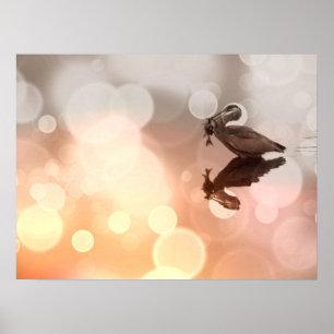 Sunrise Great Blue Heron Reflektion Poster