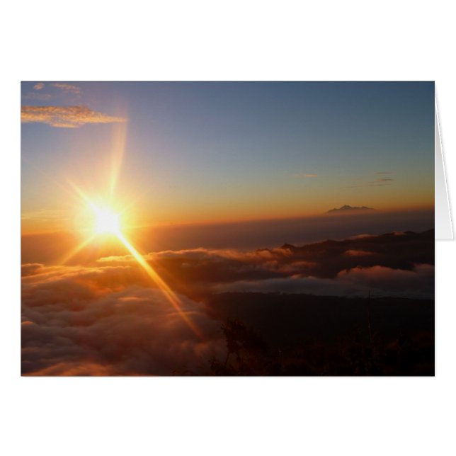 Sunrise Joy (Vorderseite (Horizontal))