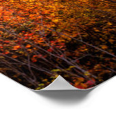 Sunrise Kancamagus Highlights Poster (Ecke)