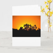 Sunrise Karte (Gelbe Blume)