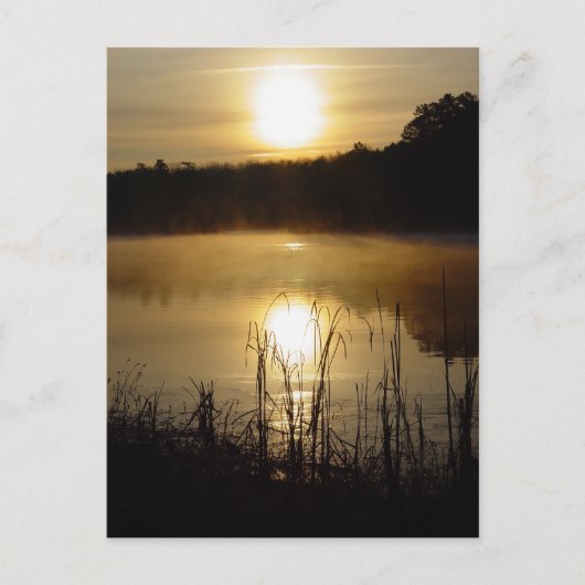 Sunrise Lake Reflection Postkarte (Vorderseite)