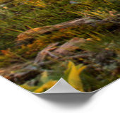 Sunrise Lights Blackleaf Canyon 2 Poster (Ecke)