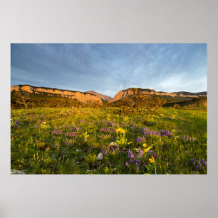 Sunrise Lights Blackleaf Canyon Poster