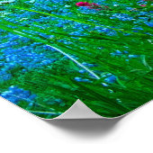 Sunrise Lupine und Berg Rainer Poster (Ecke)