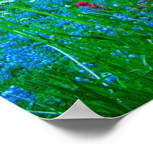 Sunrise Lupine und Berg Rainer Poster (Ecke)