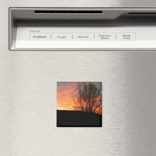Sunrise Magnet (In Situ (Geschirrspüler))