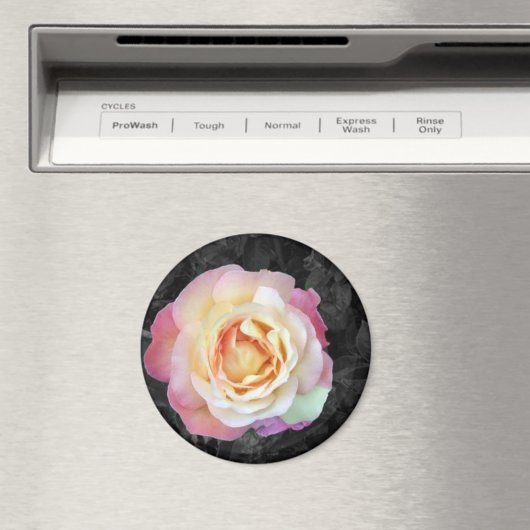 Sunrise Magnet (In Situ (Geschirrspüler))