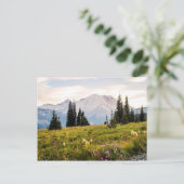 Sunrise Mt. Rainier Geschenke Postkarte (Stehend Vorderseite)