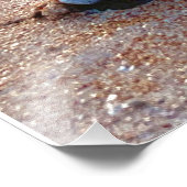 Sunrise-Muschel Fotodruck (Ecke)