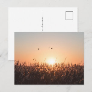 Sunrise Nature Foto Feiertagspostkarte