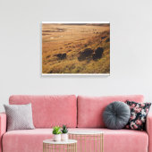 Sunrise on Bison Leinwanddruck (Insitu (Wohnzimmer))