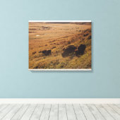 Sunrise on Bison Leinwanddruck (Insitu (Holzboden))