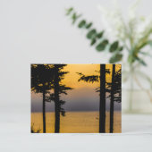 Sunrise on Gouldsboro Bay, Maine Postkarte (Stehend Vorderseite)