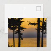 Sunrise on Gouldsboro Bay, Maine Postkarte (Vorne/Hinten)