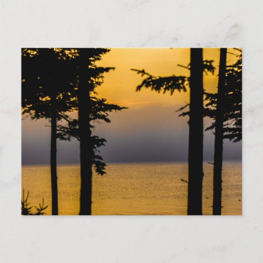 Sunrise on Gouldsboro Bay, Maine Postkarte (Vorderseite)