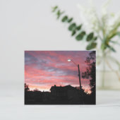 Sunrise over Centennial Park, Sydney Postkarte (Stehend Vorderseite)