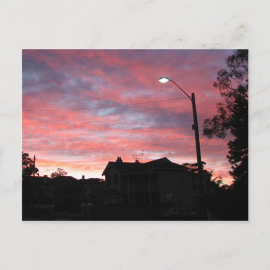Sunrise over Centennial Park, Sydney Postkarte (Vorderseite)