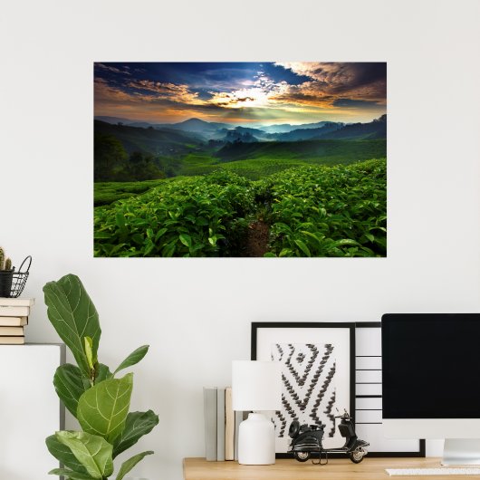 Sunrise over Tea Farm Poster (Heimbüro)