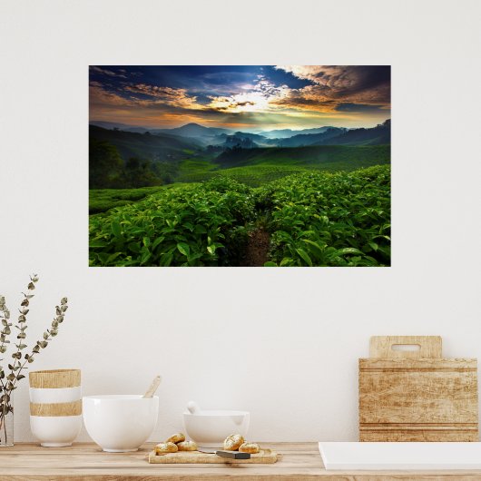 Sunrise over Tea Farm Poster (Küche)