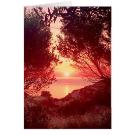 Sunrise Over the Sea Framed by Trees