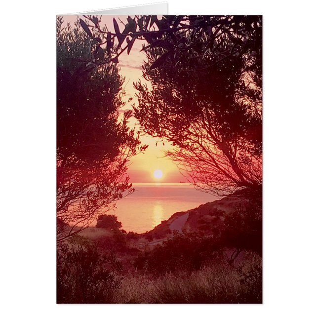 Sunrise Over the Sea Framed by Trees (Vorne)